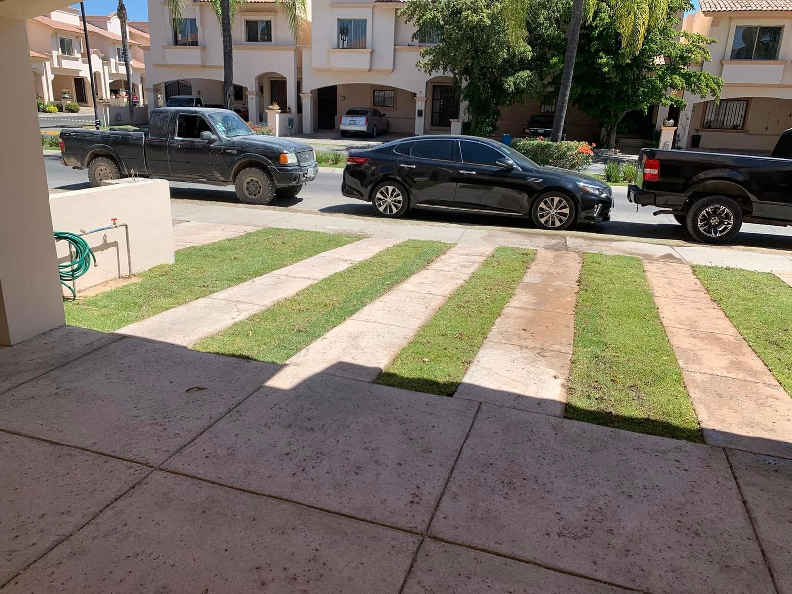 Alfombra mejor marca de pasto en rollo para Guadalajara