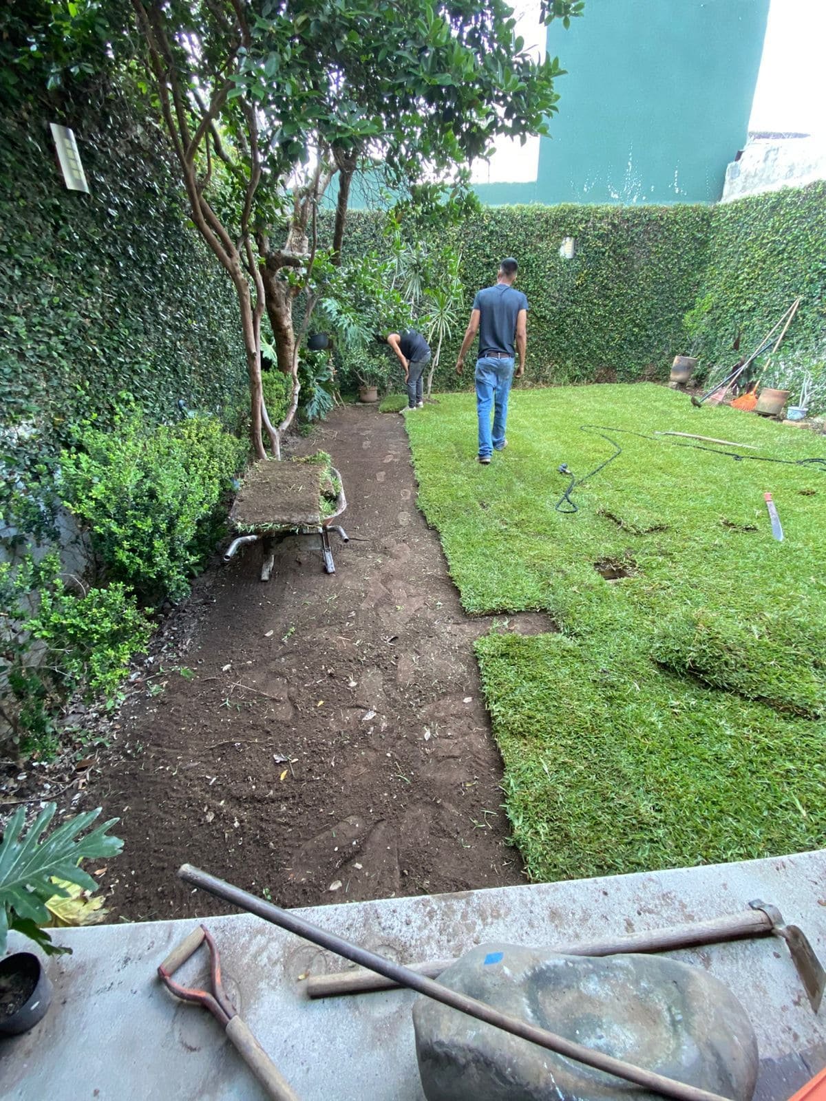 Jardin con pasto en rollo en proceso