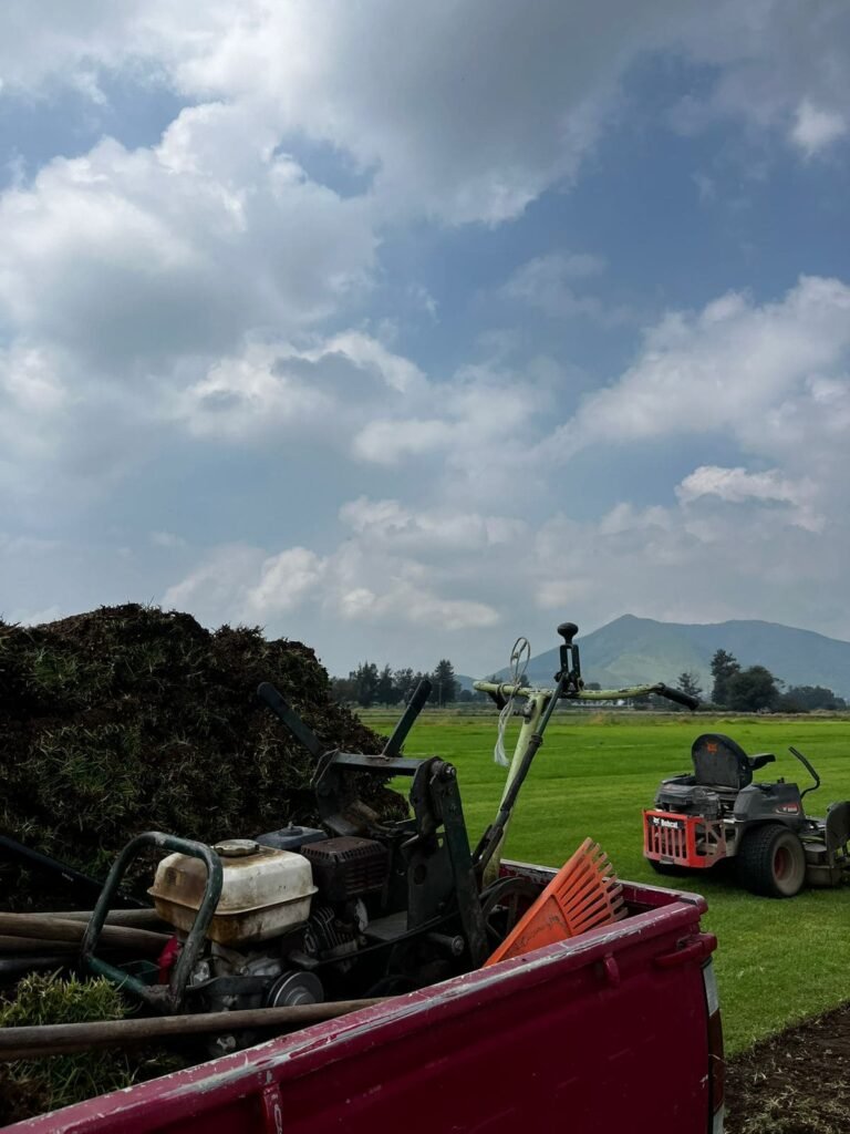 Pasto natural tipo alfombra en guadalajara