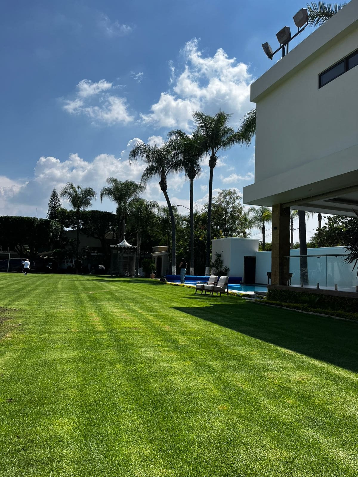 jardin con pasto y alberca en zapopan