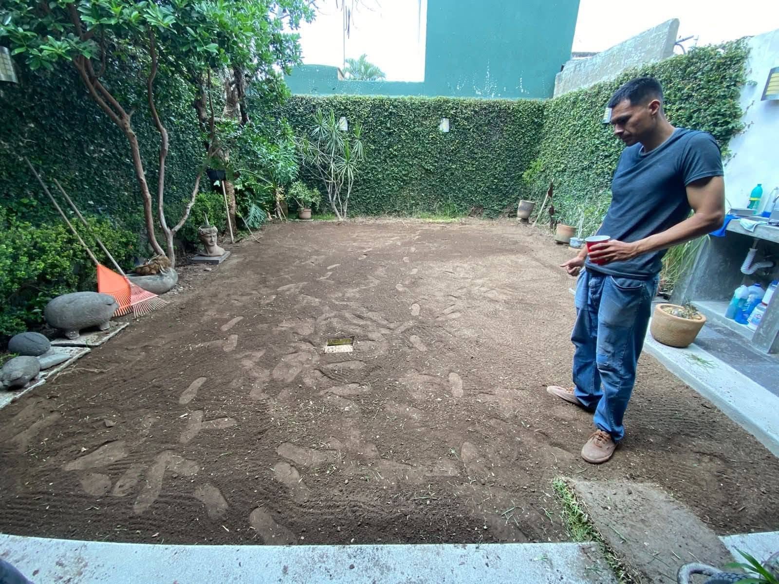 pasto en rollo tipo alfombra instalado en chapala