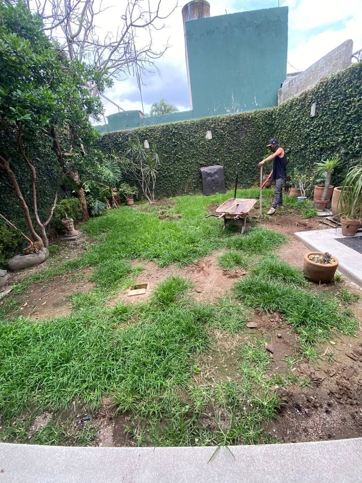 pasto en rollo tipo alfombra instalado en zapopan