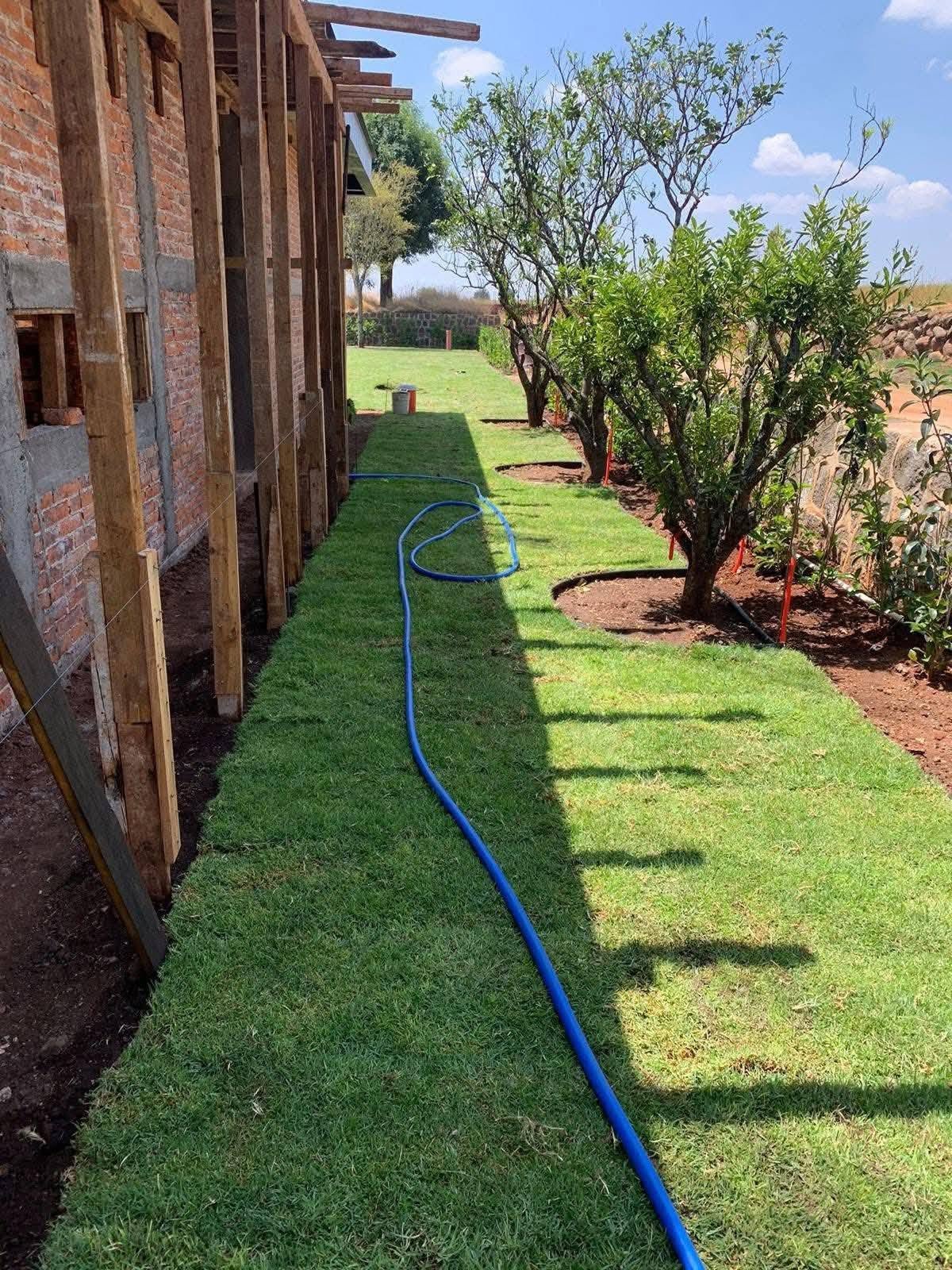 pasto en rollo tipo alfombra instalado
